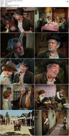 Bonanza S01-S14 DVDRip XviD x264-SCENE