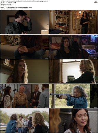 Walker S01-S04 1080p BluRay WEB DDP 5.1 x265-edge2020