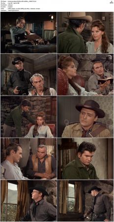 Bonanza S01-S14 DVDRip XviD x264-SCENE