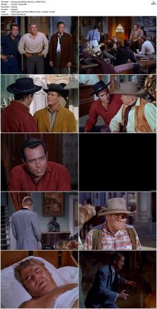 Bonanza S01 14 DVDRip XviD x264-SCENE