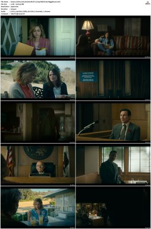 Dirty John S02 MULTI 2160p WEB H265-HiggsBoson