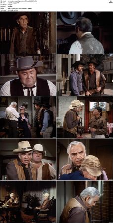 Bonanza S01-S14 DVDRip XviD x264-SCENE