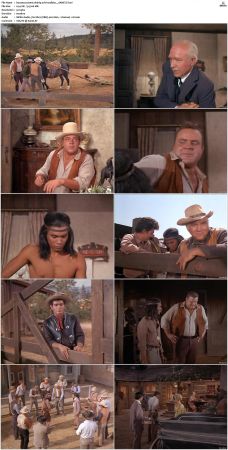 Bonanza S01-S14 DVDRip XviD x264-SCENE