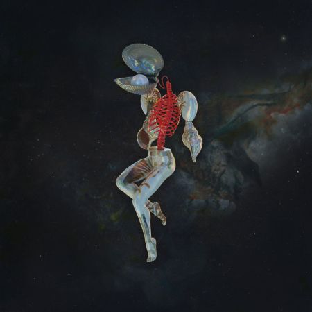 Hail Spirit Noir - Fossil Gardens (2024)CD-Rip