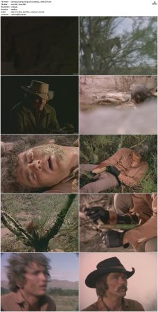 Bonanza S01-S14 DVDRip XviD x264-SCENE