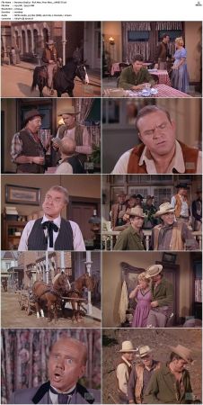 Bonanza S01 14 DVDRip XviD x264-SCENE