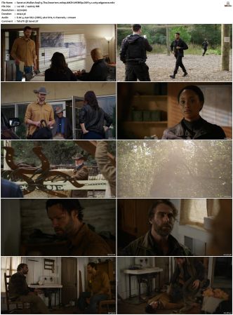 Walker S01-S04 1080p BluRay WEB DDP 5.1 x265-edge2020