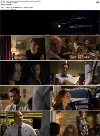 Walker S01 S04 1080p BluRay WEB DDP 5 1 x265-edge2020