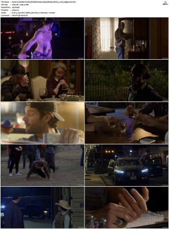 Walker S01 S04 1080p BluRay WEB DDP 5 1 x265-edge2020