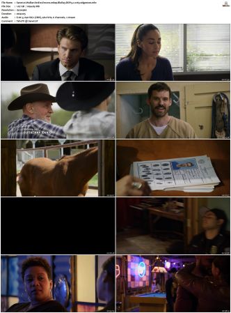 Walker S01 S04 1080p BluRay WEB DDP 5 1 x265-edge2020