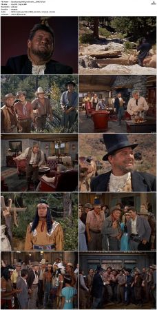 Bonanza S01 14 DVDRip XviD x264-SCENE