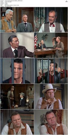 Bonanza S01-S14 DVDRip XviD x264-SCENE