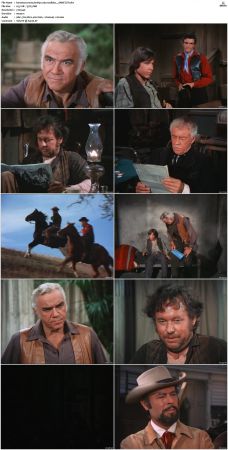 Bonanza S01-S14 DVDRip XviD x264-SCENE