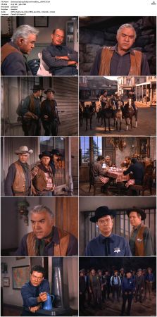 Bonanza S01 14 DVDRip XviD x264-SCENE