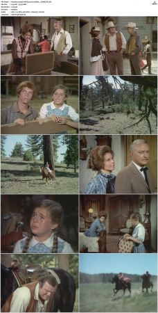 Bonanza S01-S14 DVDRip XviD x264-SCENE
