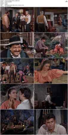 Bonanza S01 14 DVDRip XviD x264-SCENE