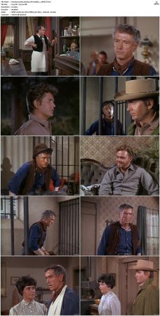 Bonanza S01-S14 DVDRip XviD x264-SCENE