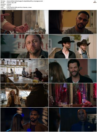 Walker S01 S04 1080p BluRay WEB DDP 5 1 x265-edge2020