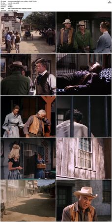 Bonanza S01-S14 DVDRip XviD x264-SCENE