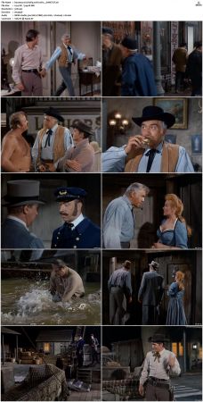 Bonanza S01 14 DVDRip XviD x264-SCENE