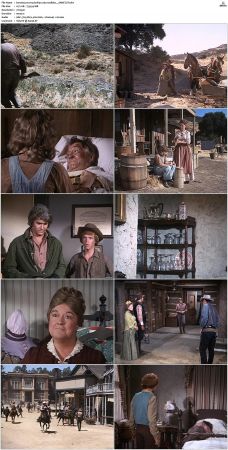 Bonanza S01-S14 DVDRip XviD x264-SCENE