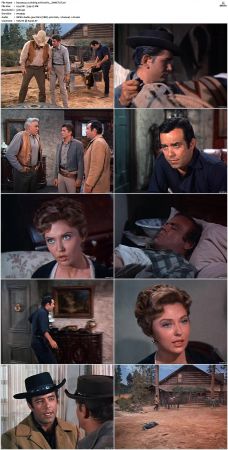 Bonanza S01 14 DVDRip XviD x264-SCENE