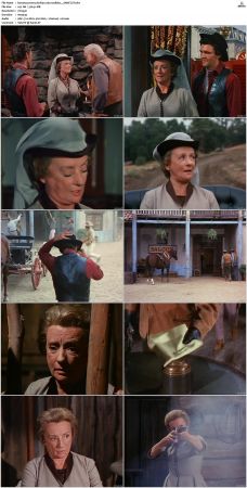 Bonanza S01-S14 DVDRip XviD x264-SCENE