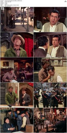 Bonanza S01-S14 DVDRip XviD x264-SCENE