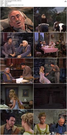 Bonanza S01 14 DVDRip XviD x264-SCENE