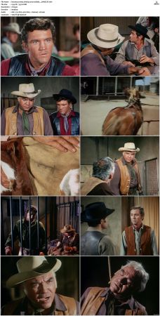 Bonanza S01-S14 DVDRip XviD x264-SCENE