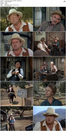 Bonanza S01-S14 DVDRip XviD x264-SCENE