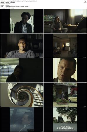 Homecoming S01-S02 WEBRip EAC3 5 1 1080p x265-iVy