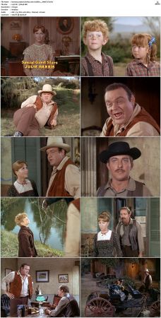 Bonanza S01-S14 DVDRip XviD x264-SCENE