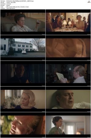 FEUD S01 S02 1080p WEBRip x265-KONTRAST