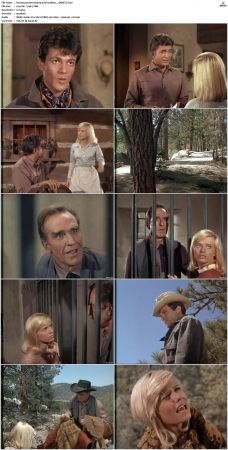 Bonanza S01-S14 DVDRip XviD x264-SCENE