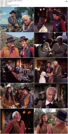 Bonanza S01-S14 DVDRip XviD x264-SCENE