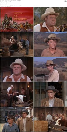 Bonanza S01-S14 DVDRip XviD x264-SCENE