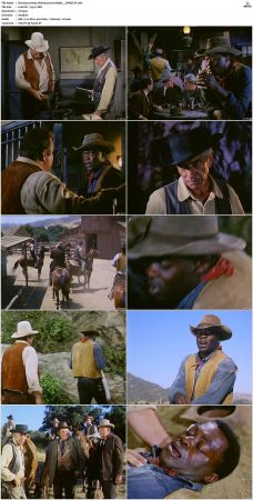 Bonanza S01-S14 DVDRip XviD x264-SCENE