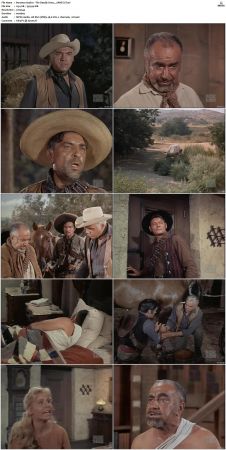 Bonanza S01 14 DVDRip XviD x264-SCENE