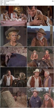 Bonanza S01 14 DVDRip XviD x264-SCENE