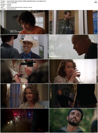 Walker S01 S04 1080p BluRay WEB DDP 5 1 x265-edge2020