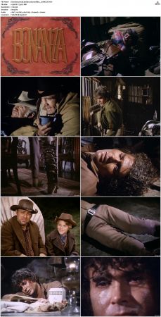 Bonanza S01-S14 DVDRip XviD x264-SCENE
