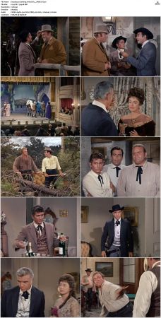 Bonanza S01 14 DVDRip XviD x264-SCENE