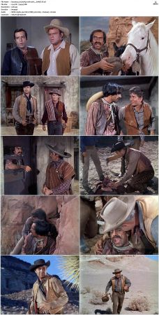 Bonanza S01 14 DVDRip XviD x264-SCENE