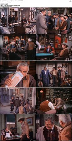 Bonanza S01-S14 DVDRip XviD x264-SCENE