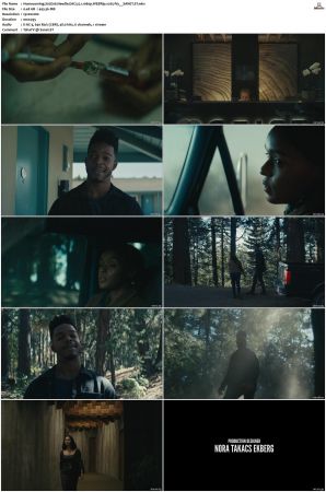 Homecoming S01-S02 WEBRip EAC3 5 1 1080p x265-iVy