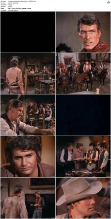 Bonanza S01-S14 DVDRip XviD x264-SCENE