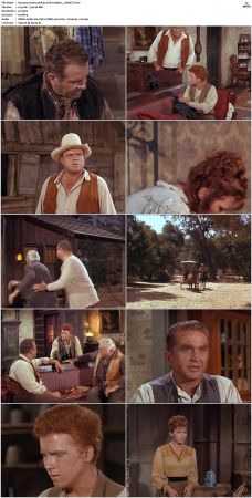 Bonanza S01-S14 DVDRip XviD x264-SCENE