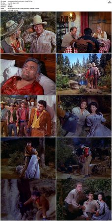 Bonanza S01 14 DVDRip XviD x264-SCENE