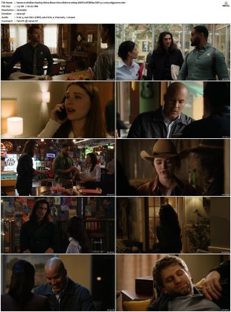 Walker S01-S04 1080p BluRay WEB DDP 5.1 x265-edge2020